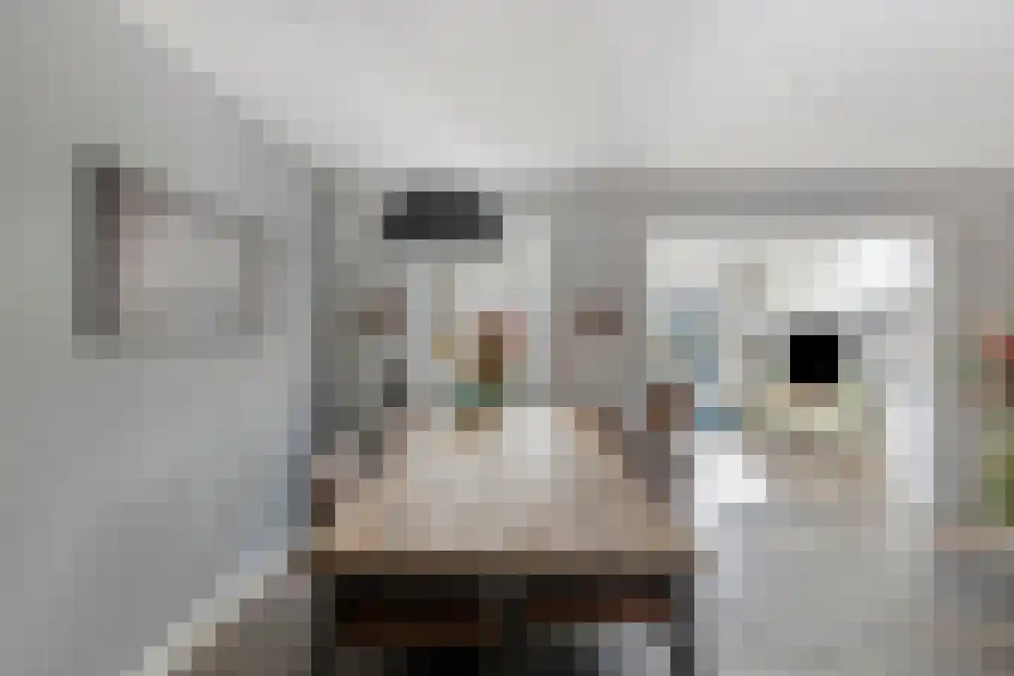 Gounodhof 7 Schijndel thumbnail 13