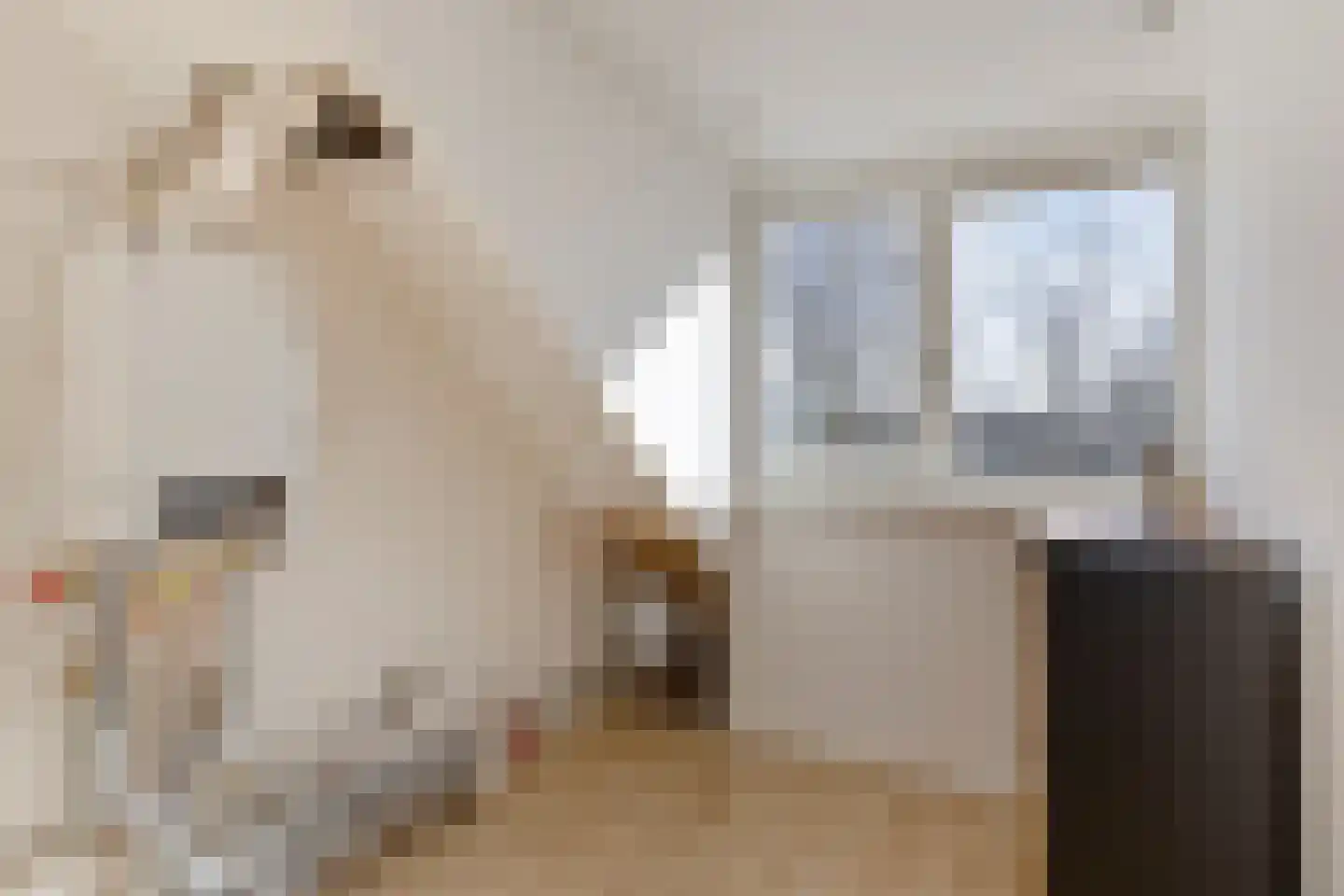 Gounodhof 7 Schijndel thumbnail 26