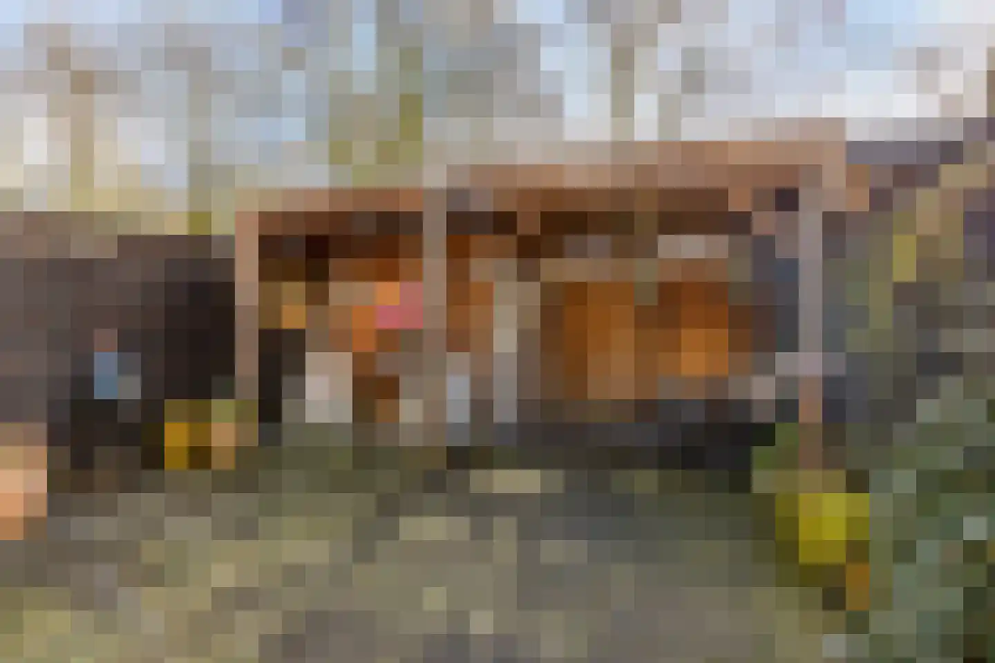 Gounodhof 7 Schijndel thumbnail 29
