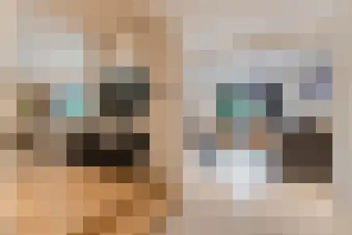 Gounodlaan 11 Tilburg thumbnail 10