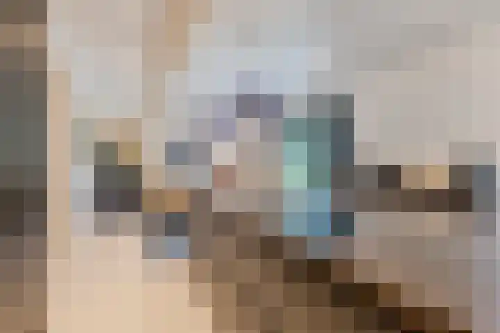 Gounodlaan 11 Tilburg thumbnail 18