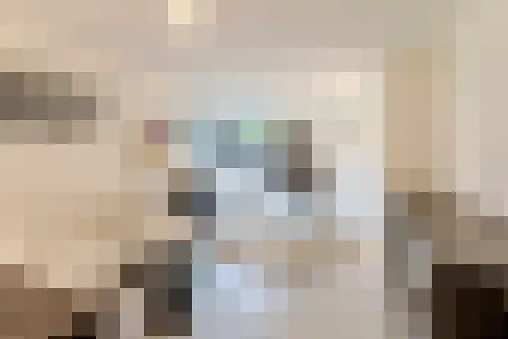 Gounodlaan 11 Tilburg thumbnail 22