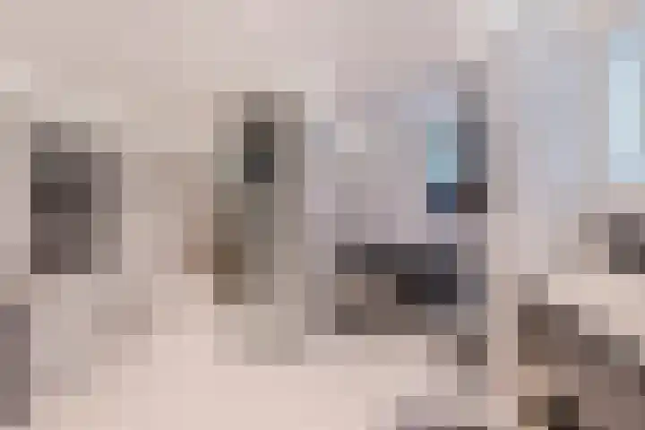 Gounodlaan 11 Tilburg thumbnail 53