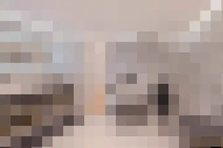 Gounodlaan 11 Tilburg thumbnail 54
