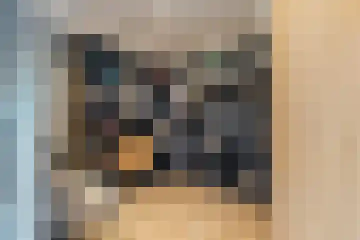 Gounodlaan 11 Tilburg thumbnail 57