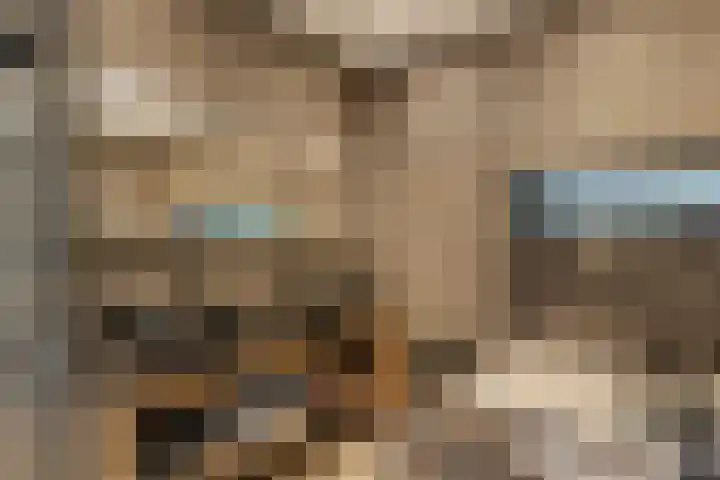 Gounodlaan 11 Tilburg thumbnail 58