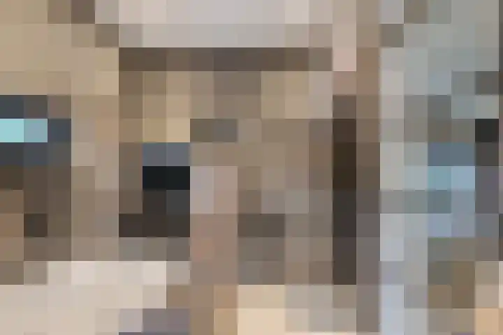 Gounodlaan 11 Tilburg thumbnail 59