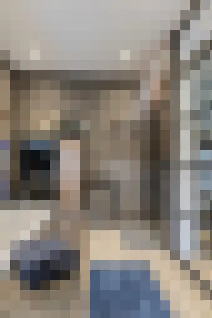 Gounodlaan 11 Tilburg thumbnail 60