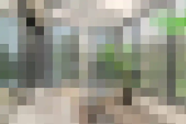 Gounodlaan 11 Tilburg thumbnail 64