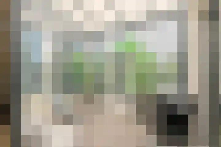Gounodlaan 11 Tilburg thumbnail 65
