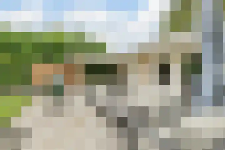 Gounodlaan 11 Tilburg thumbnail 66