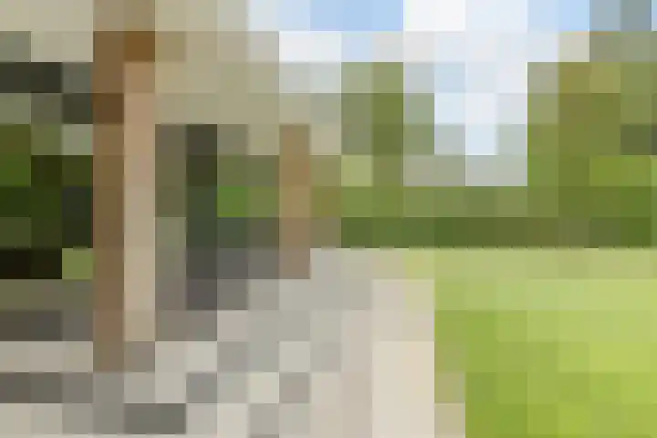 Gounodlaan 11 Tilburg thumbnail 68