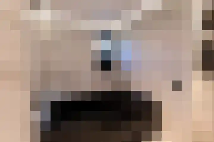 Gounodlaan 11 Tilburg thumbnail 72