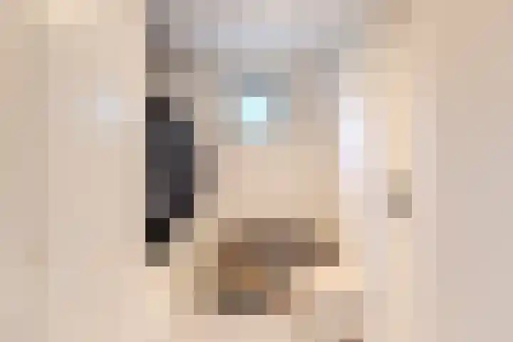 Gounodlaan 11 Tilburg thumbnail 8