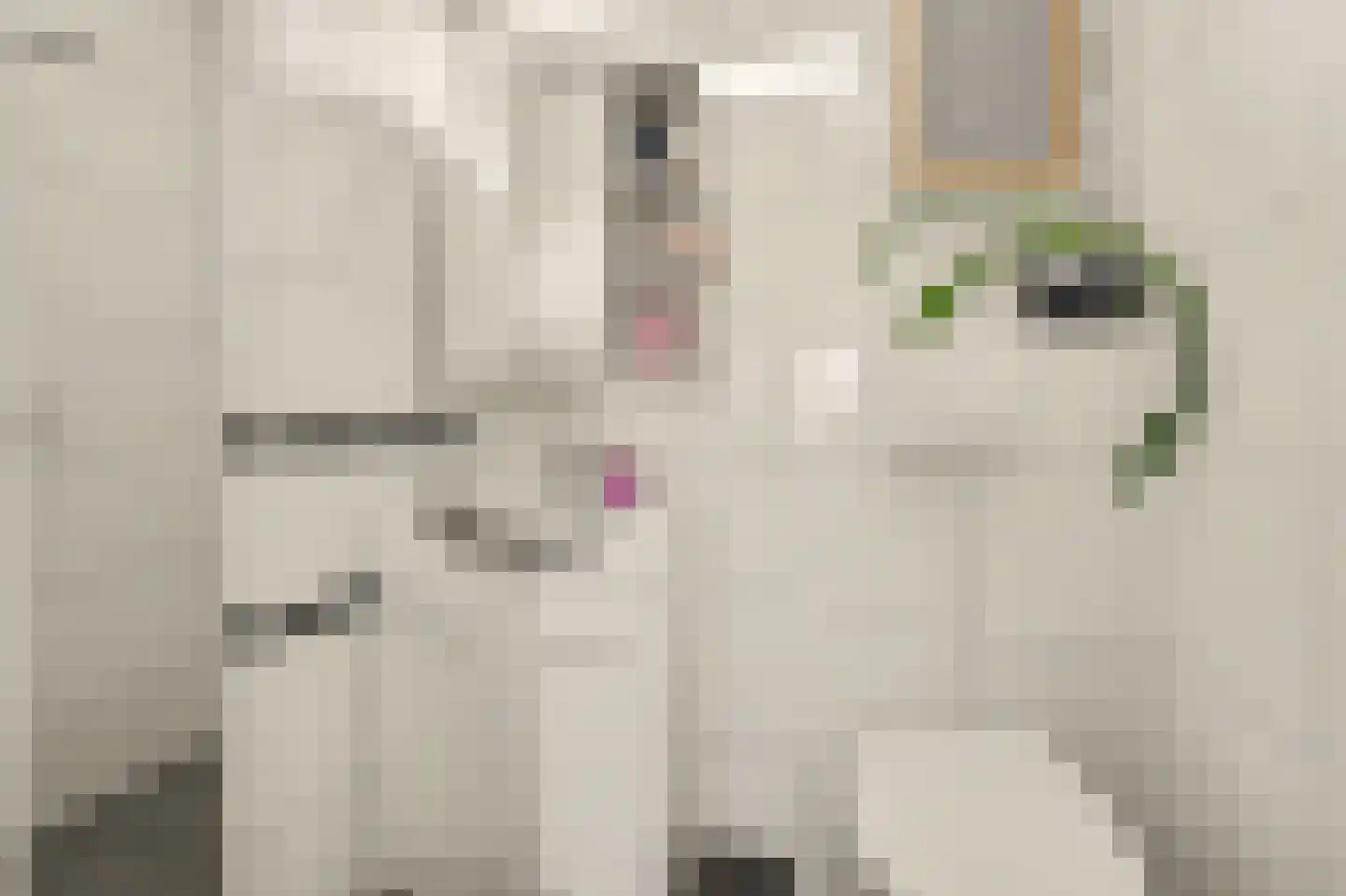 Gounodlaan 11 Vlijmen thumbnail 14