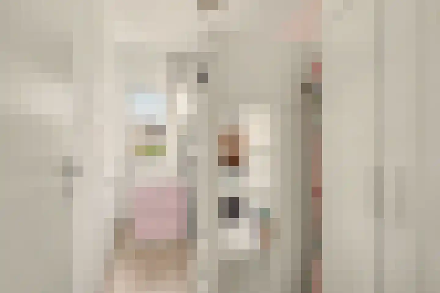 Gounodlaan 11 Vlijmen thumbnail 17