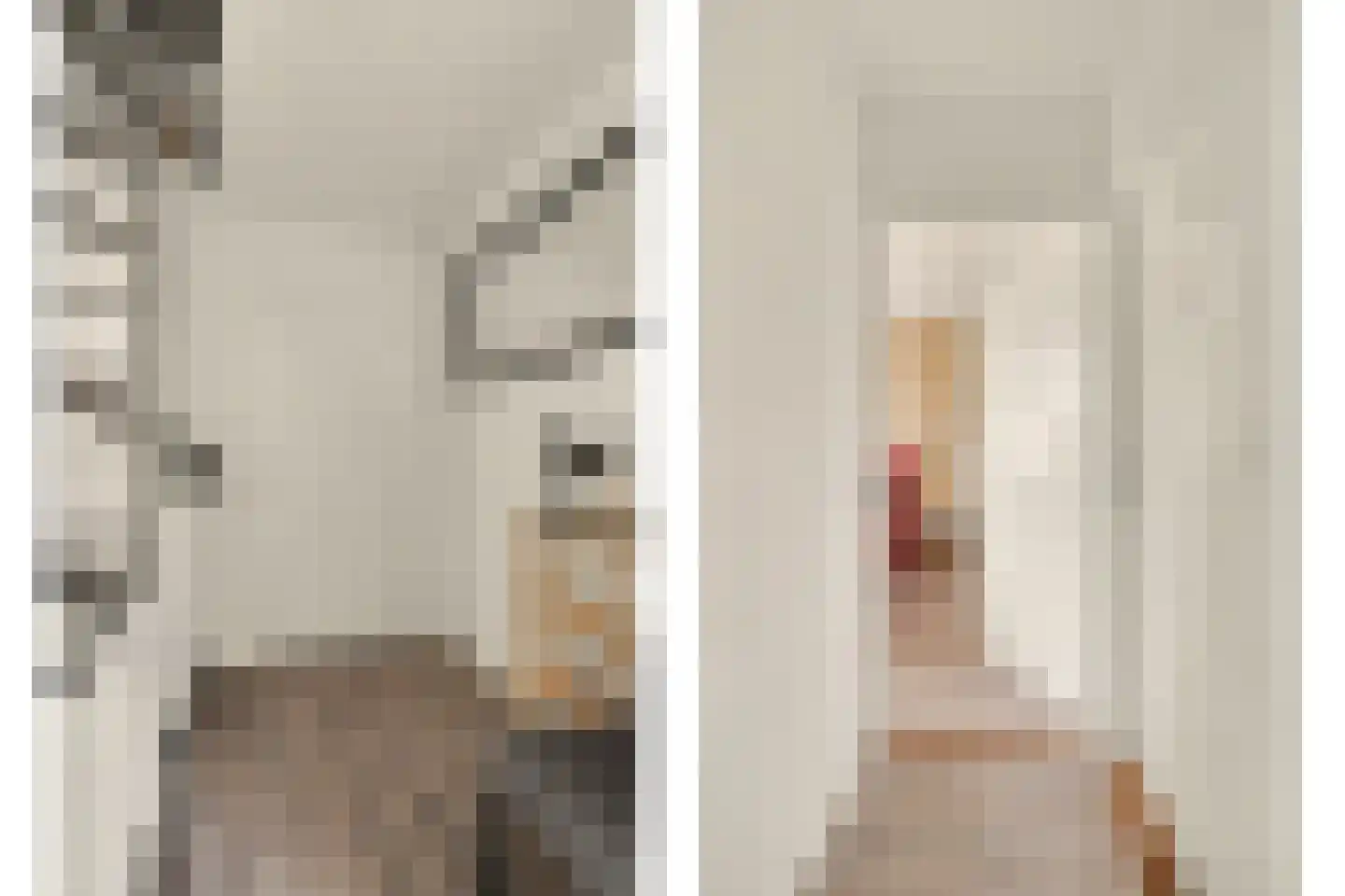 Gounodlaan 11 Vlijmen thumbnail 19