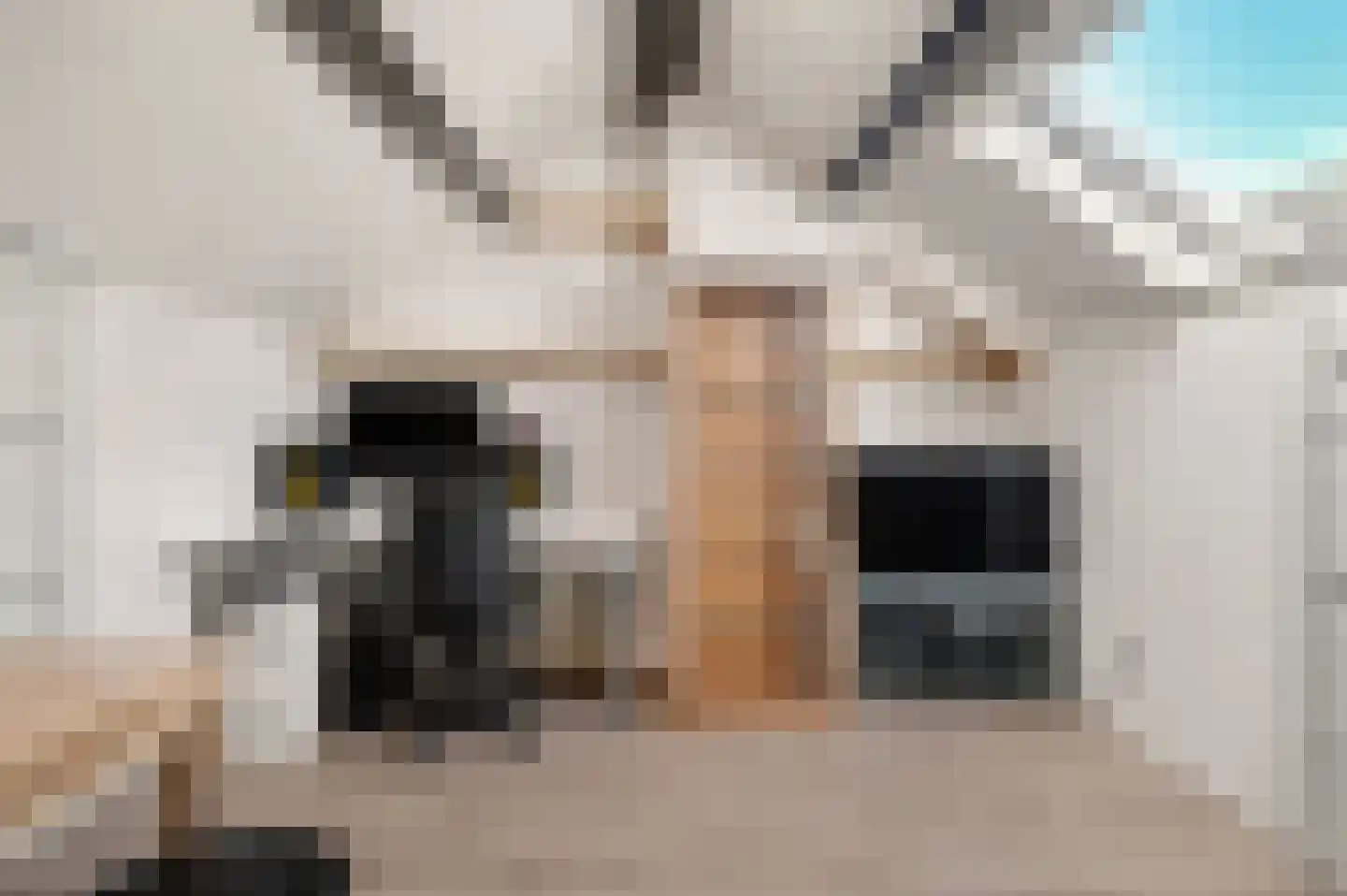 Gounodlaan 11 Vlijmen thumbnail 21