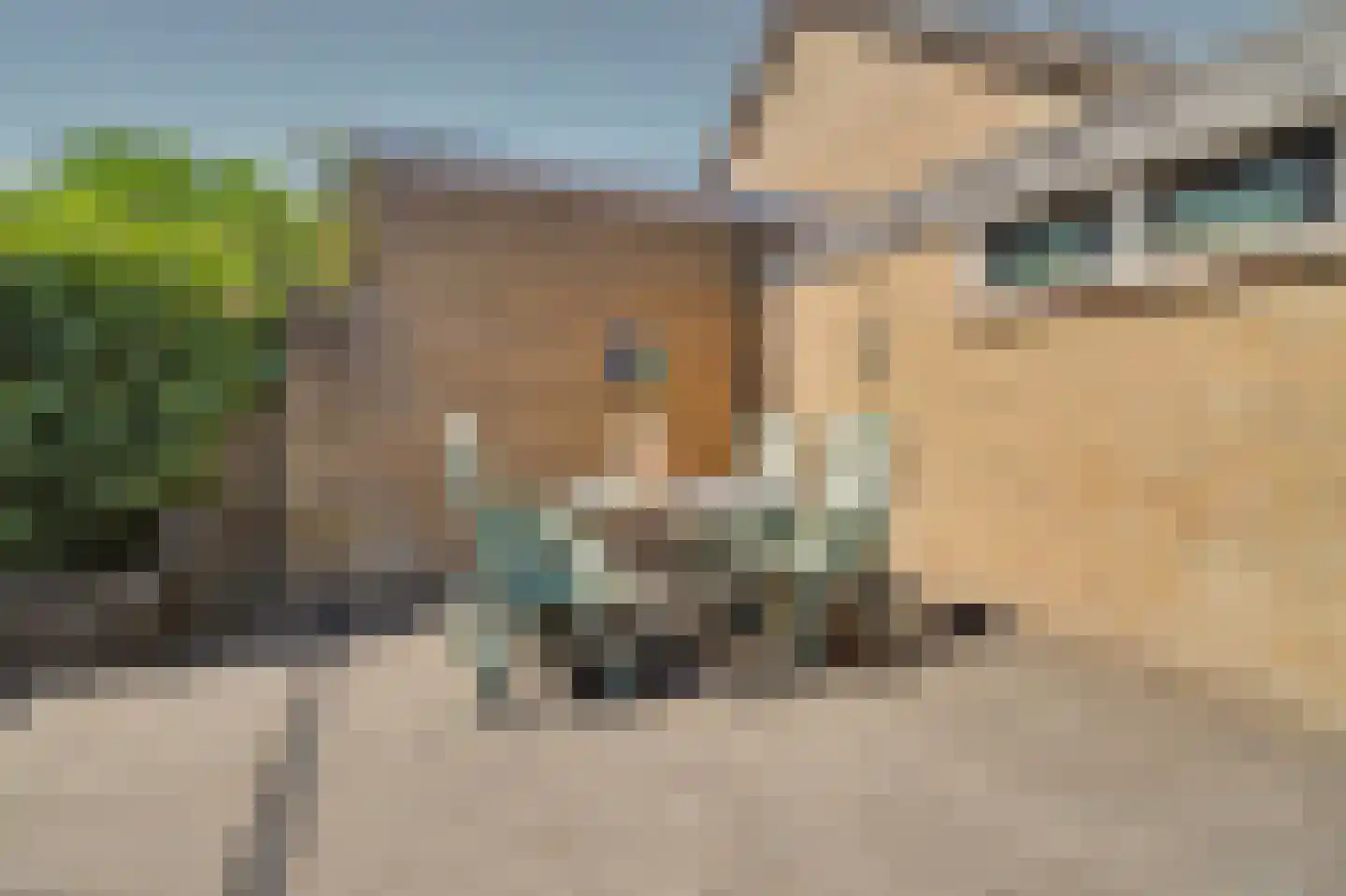 Gounodlaan 11 Vlijmen thumbnail 25