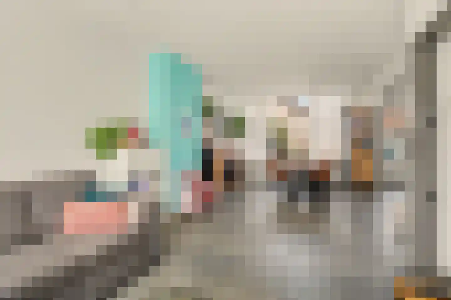Gounodlaan 11 Vlijmen foto 3
