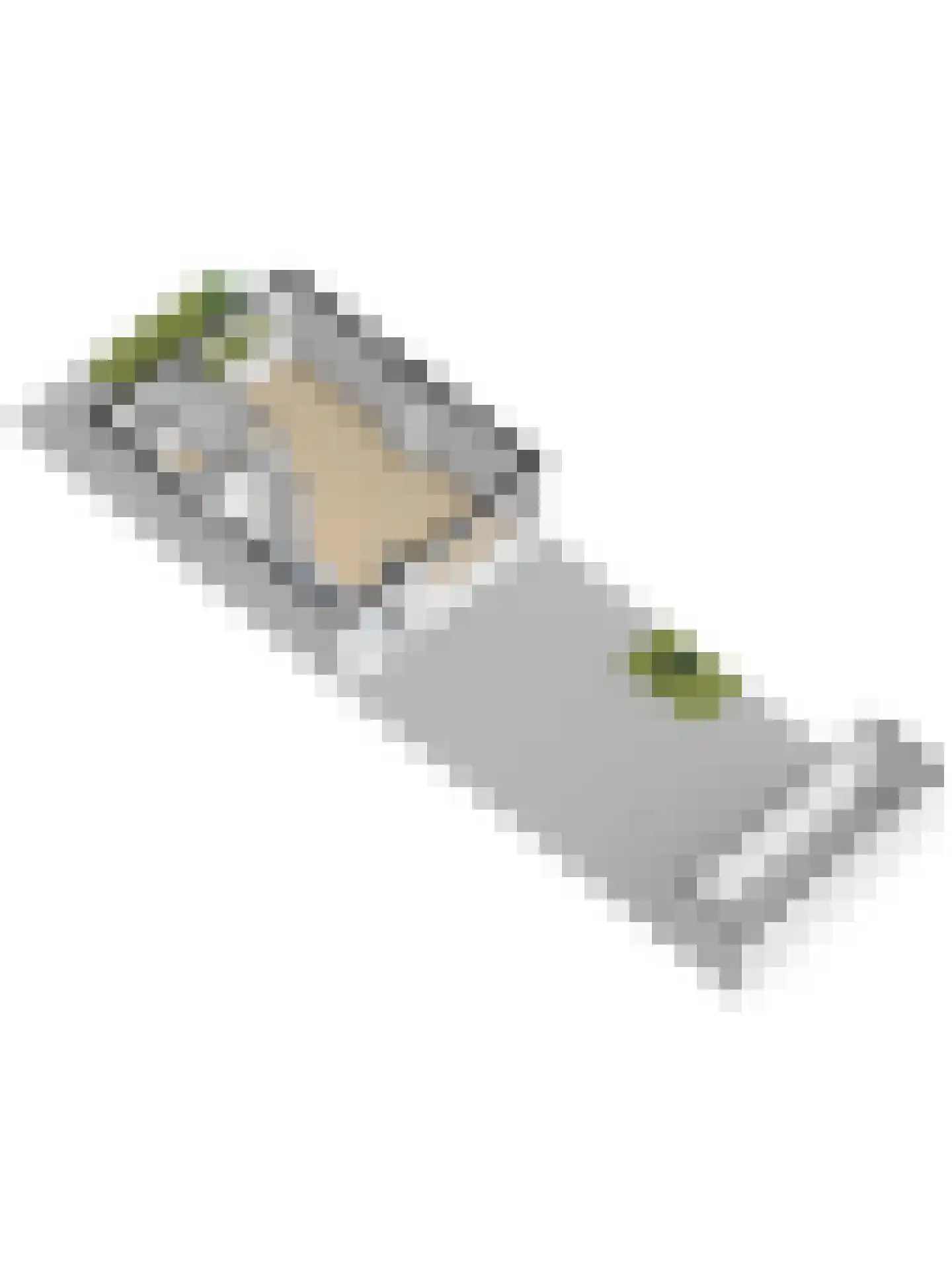 Gounodlaan 11 Vlijmen thumbnail 43