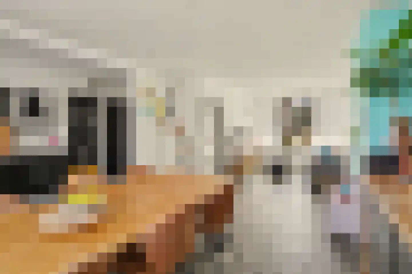 Gounodlaan 11 Vlijmen thumbnail 5