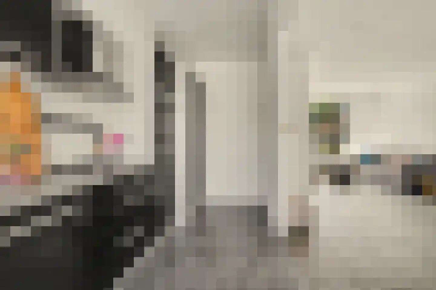 Gounodlaan 11 Vlijmen thumbnail 7