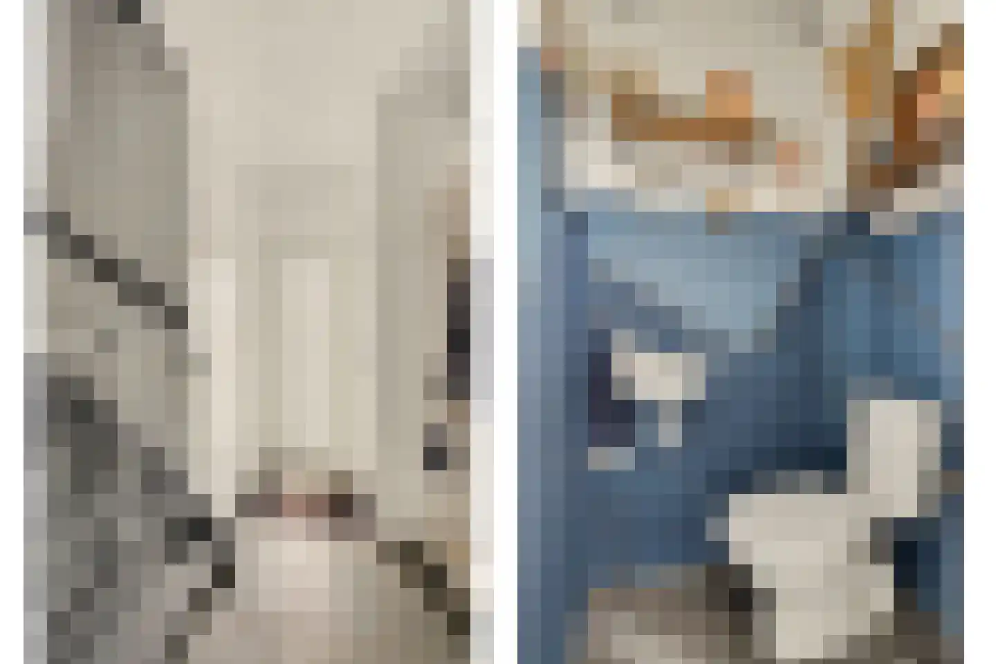 Gounodlaan 11 Vlijmen thumbnail 8