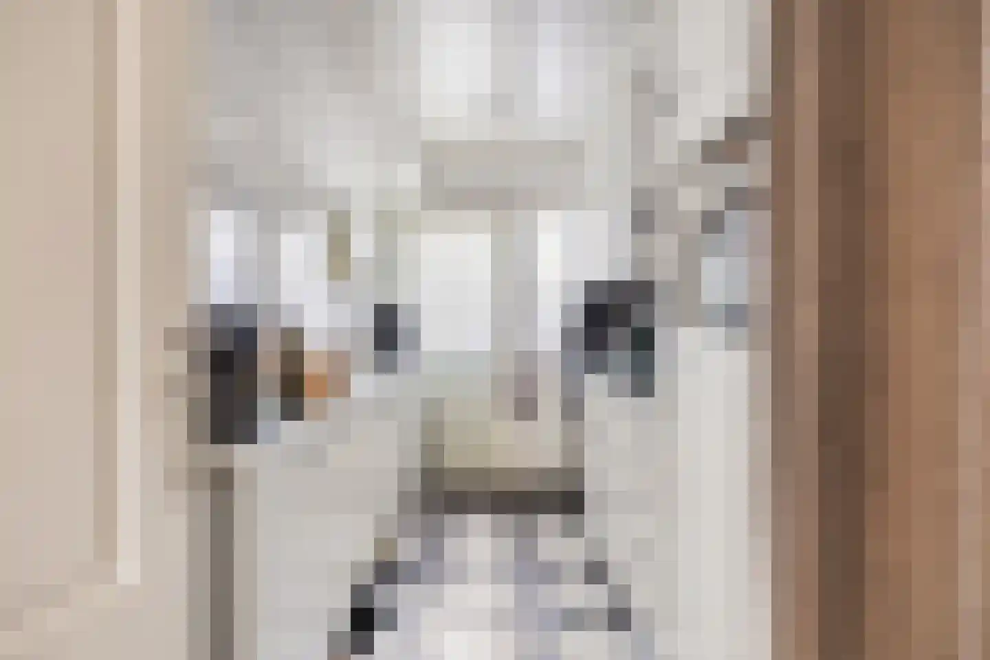 Gounodlaan 27 Vlijmen thumbnail 12