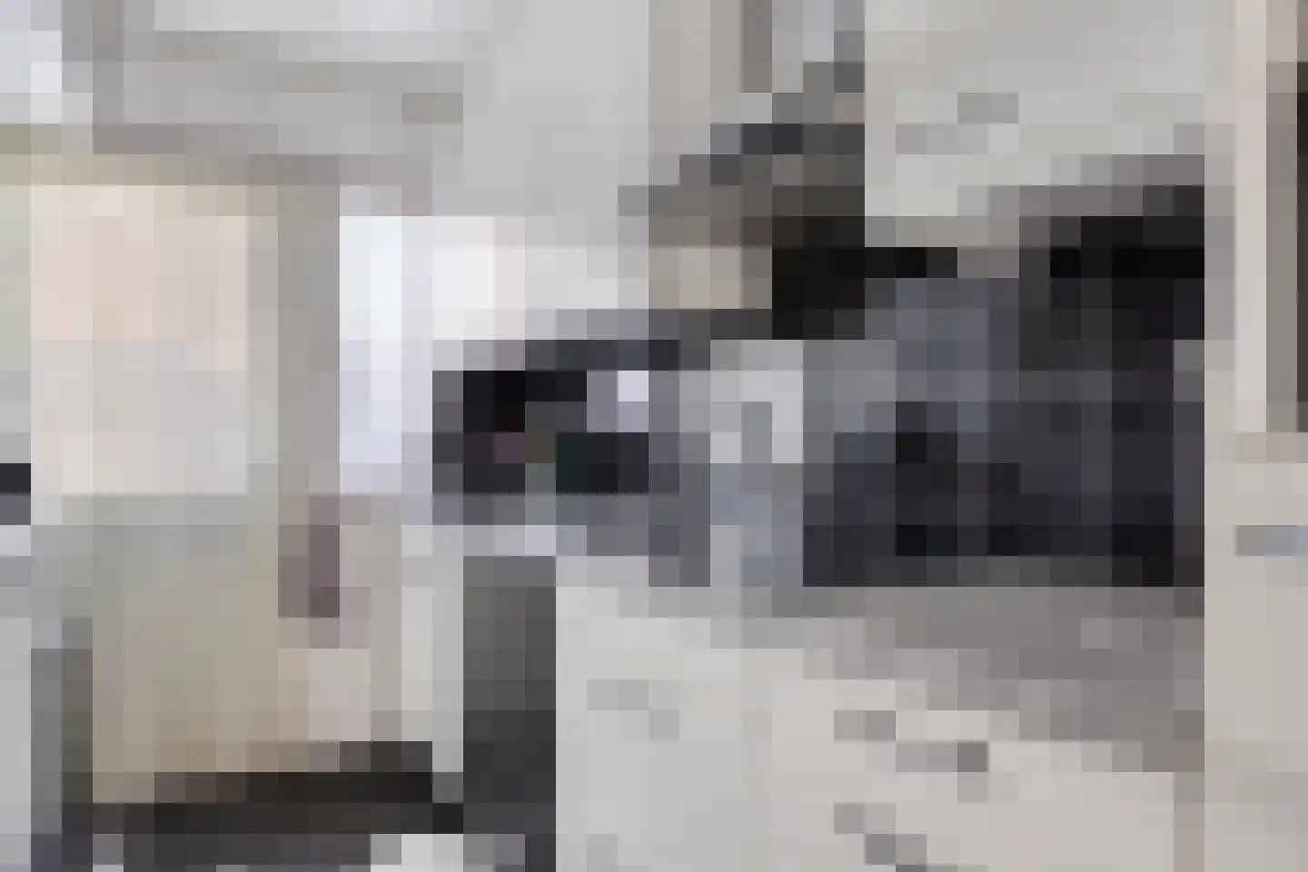 Gounodlaan 27 Vlijmen thumbnail 13