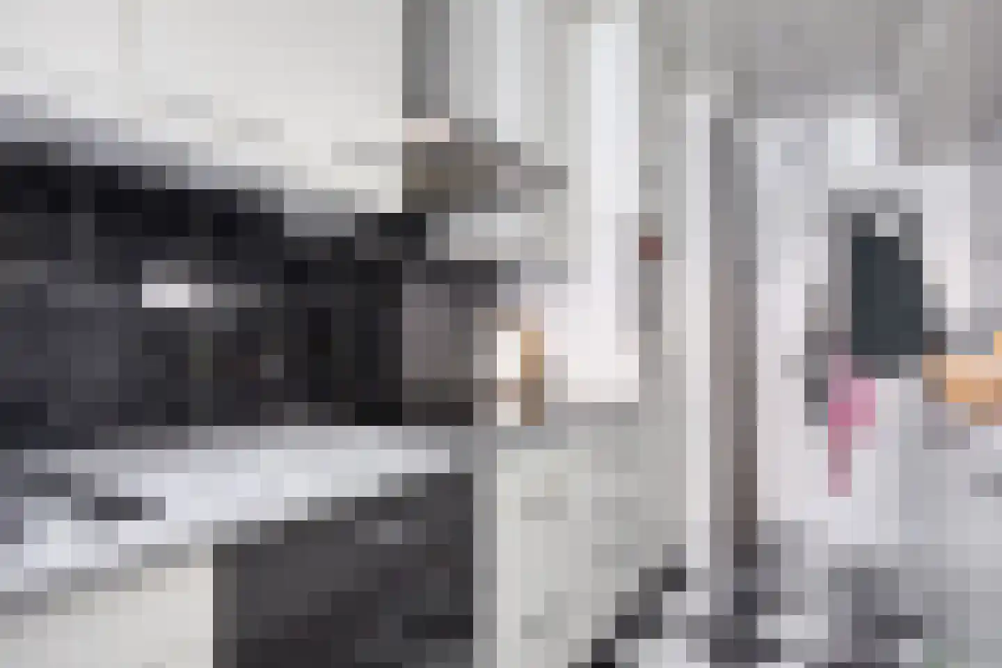 Gounodlaan 27 Vlijmen thumbnail 14
