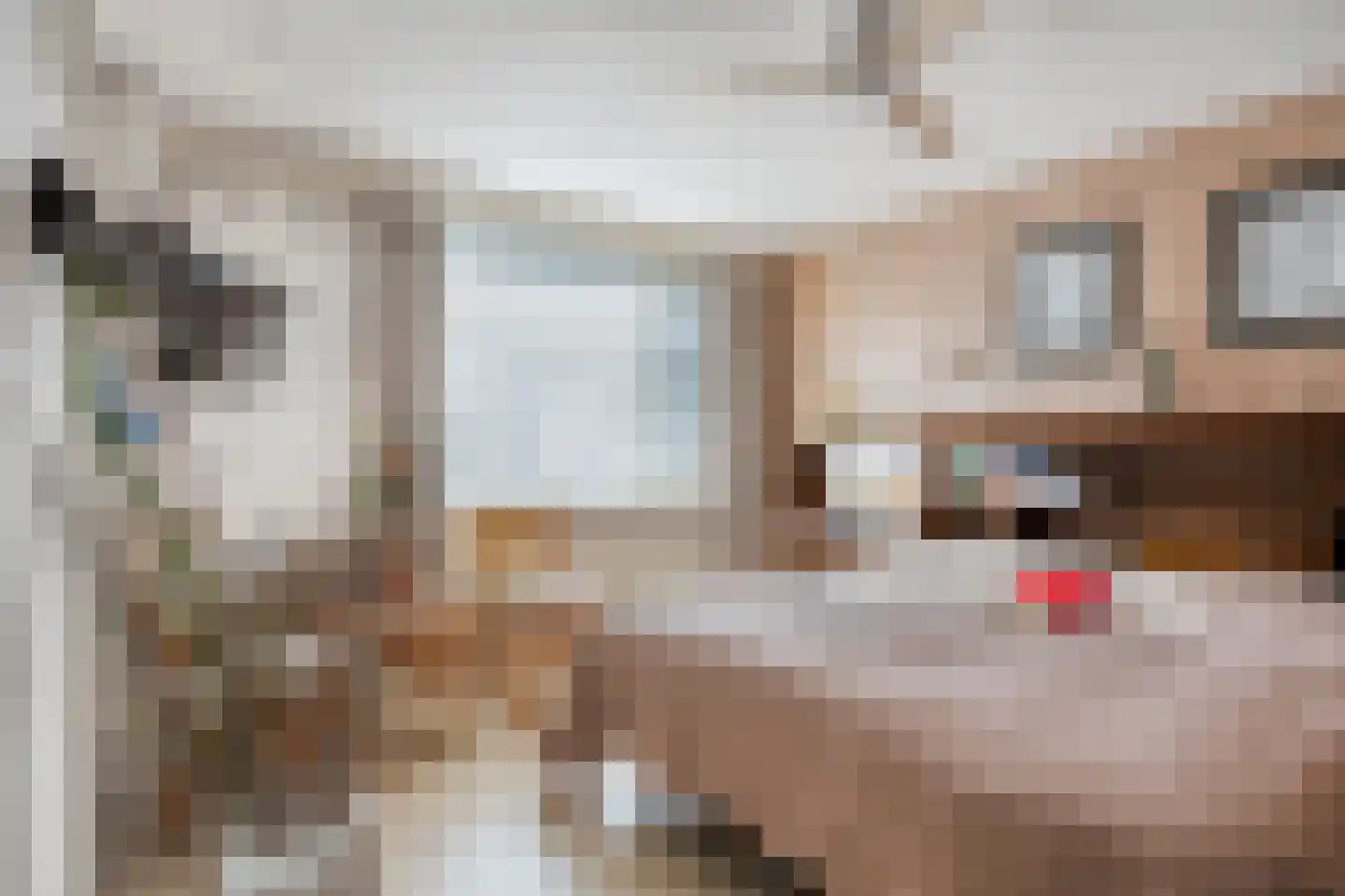 Gounodlaan 27 Vlijmen thumbnail 17