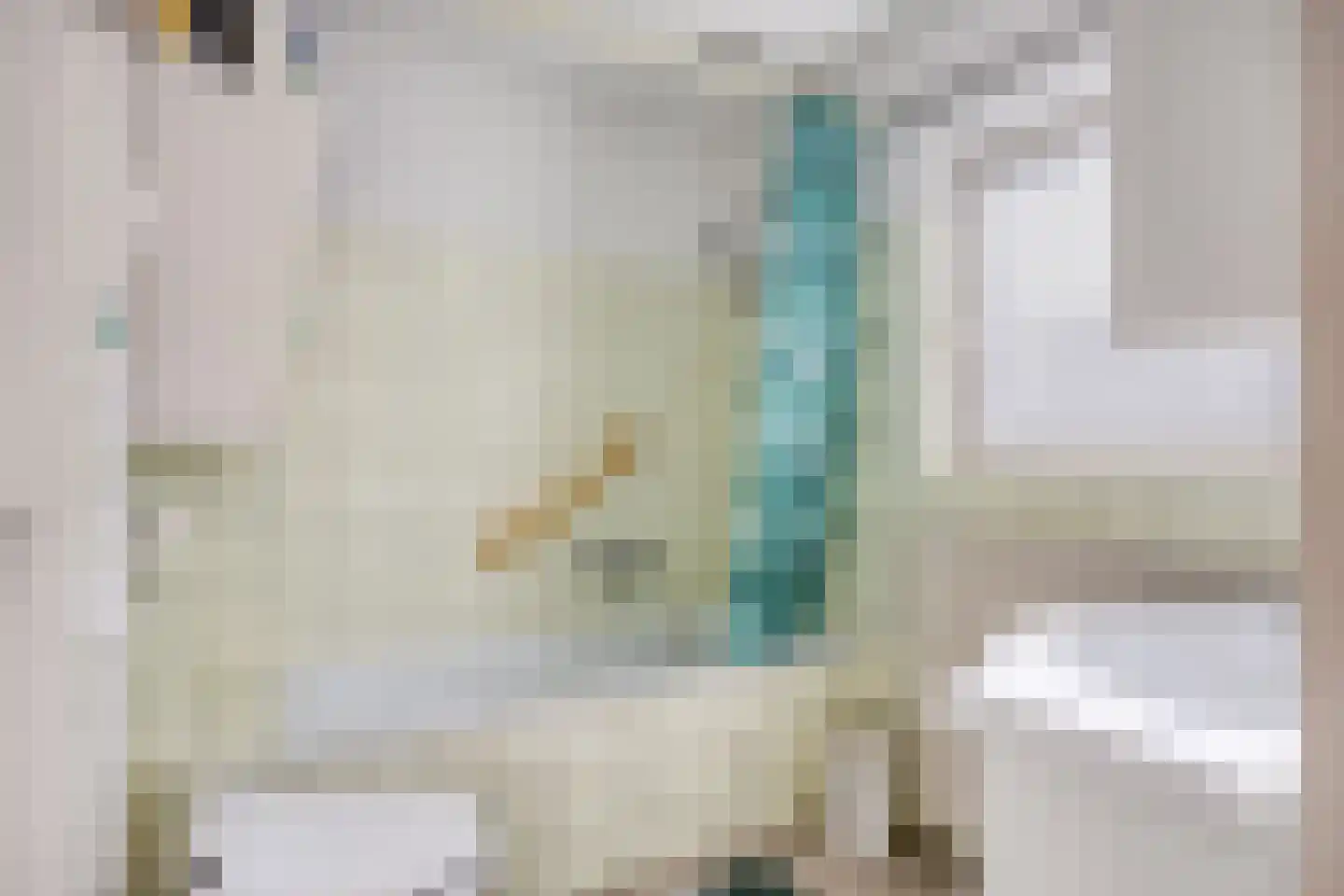 Gounodlaan 27 Vlijmen thumbnail 19