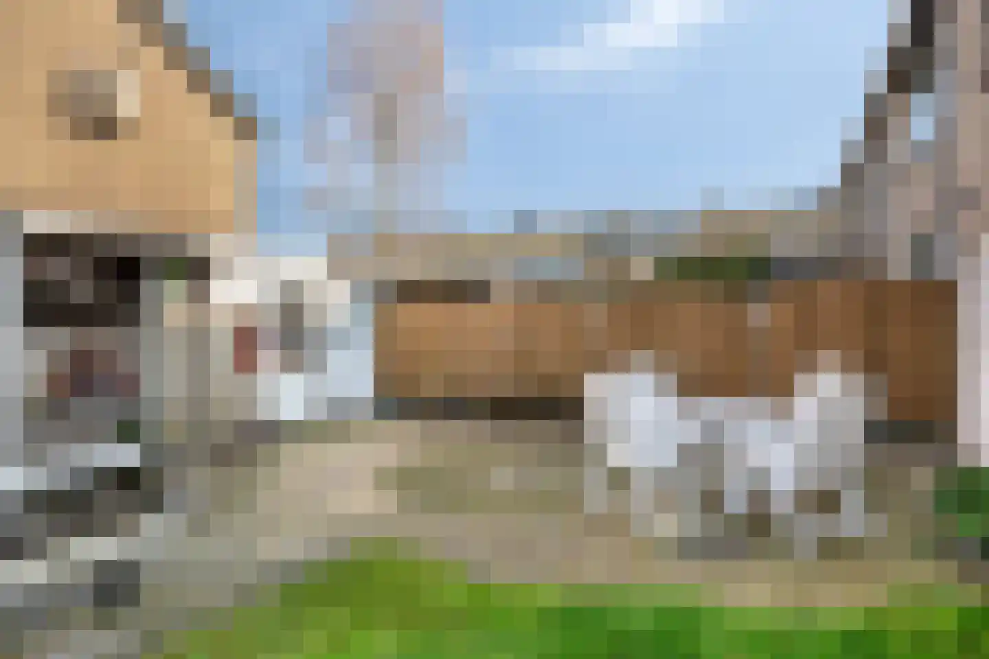 Gounodlaan 27 Vlijmen thumbnail 27