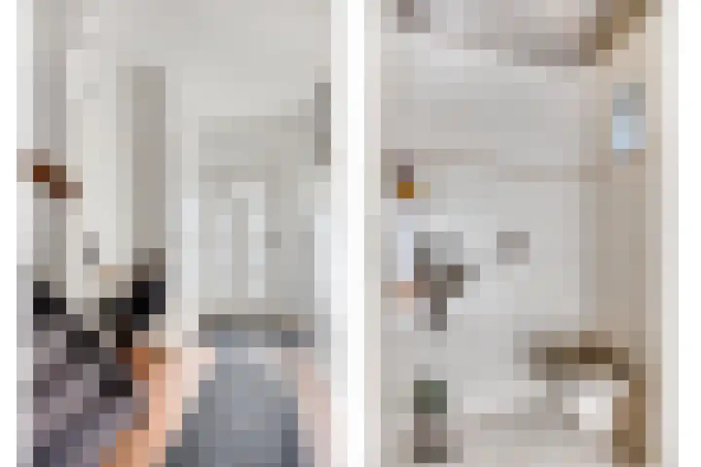 Gounodlaan 27 Vlijmen thumbnail 5