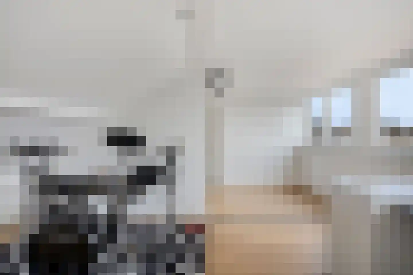 Gounodstraat 10 Bergen op Zoom thumbnail 32