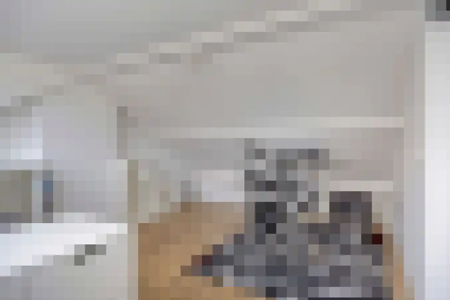 Gounodstraat 10 Bergen op Zoom thumbnail 33