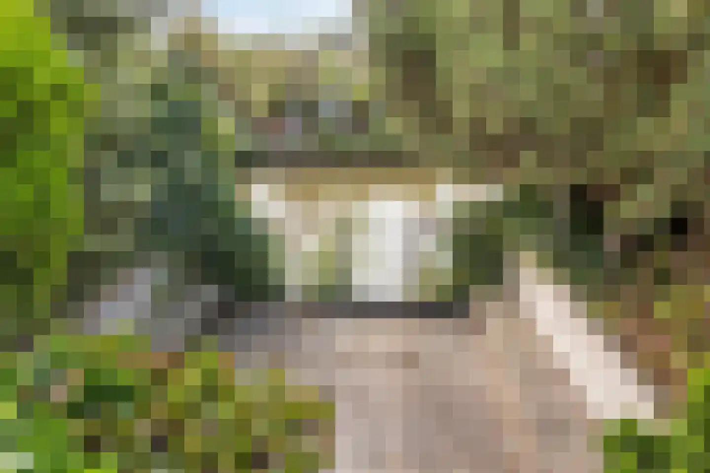 Gounodstraat 11 Capelle aan den IJssel thumbnail 12