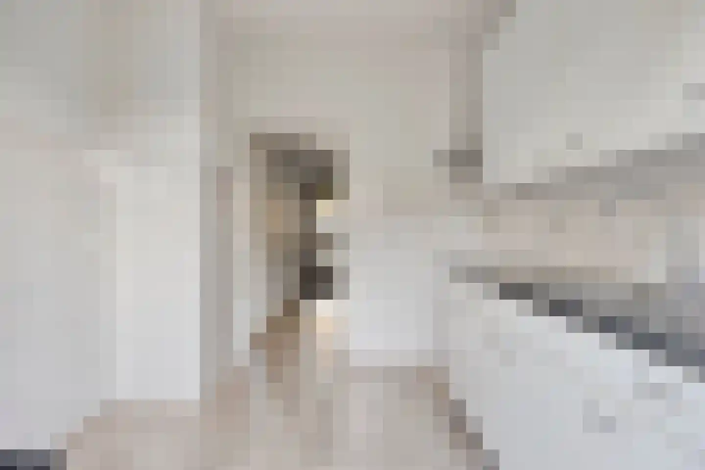 Gounodstraat 13 Zevenaar thumbnail 14