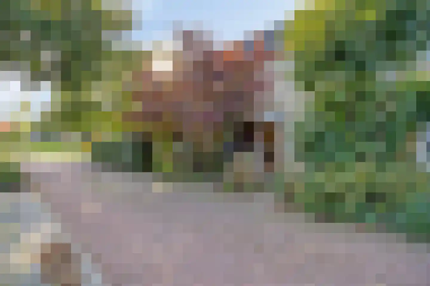 Gounodstraat 13 Zevenaar thumbnail 6