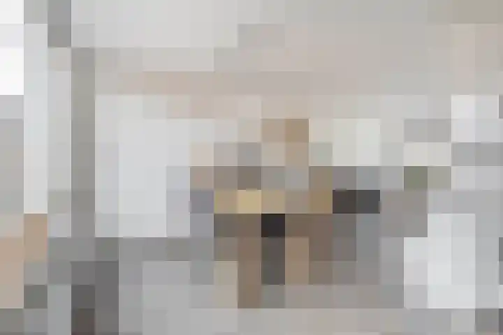 Gounodstraat 26 Waalwijk thumbnail 10