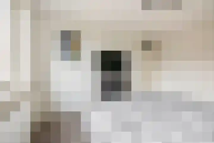 Gounodstraat 26 Waalwijk thumbnail 20