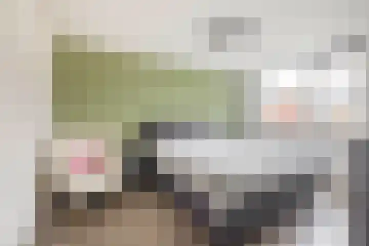 Gounodstraat 26 Waalwijk thumbnail 21