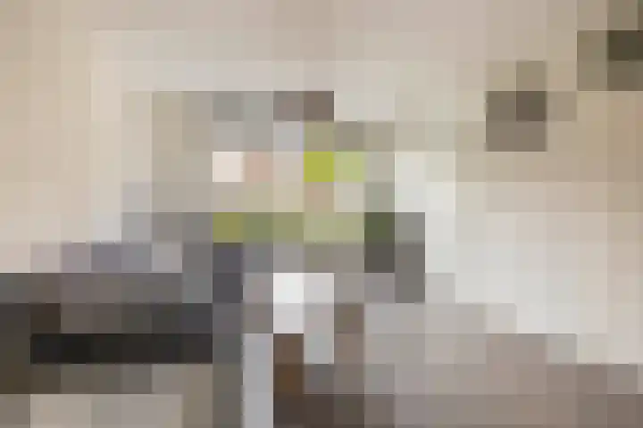 Gounodstraat 26 Waalwijk thumbnail 8