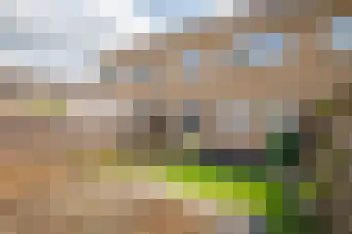Gounodstraat 3 Zevenaar thumbnail 20