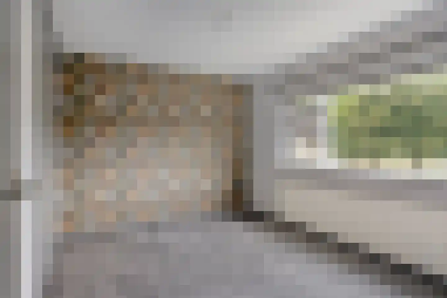 Gounodstraat 8 Zevenaar thumbnail 17