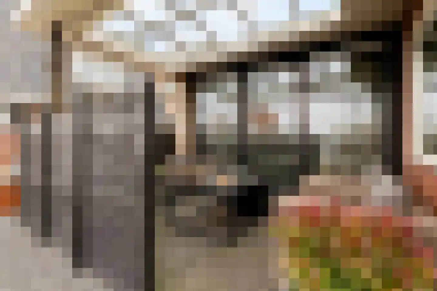 Goutumerdyk 6 Goutum thumbnail 10