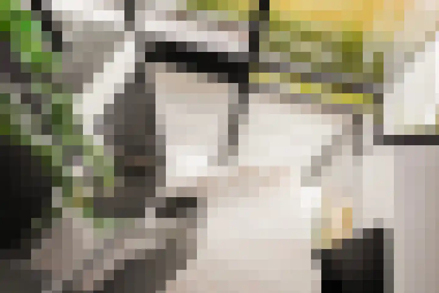 Goutumerdyk 6 Goutum thumbnail 22