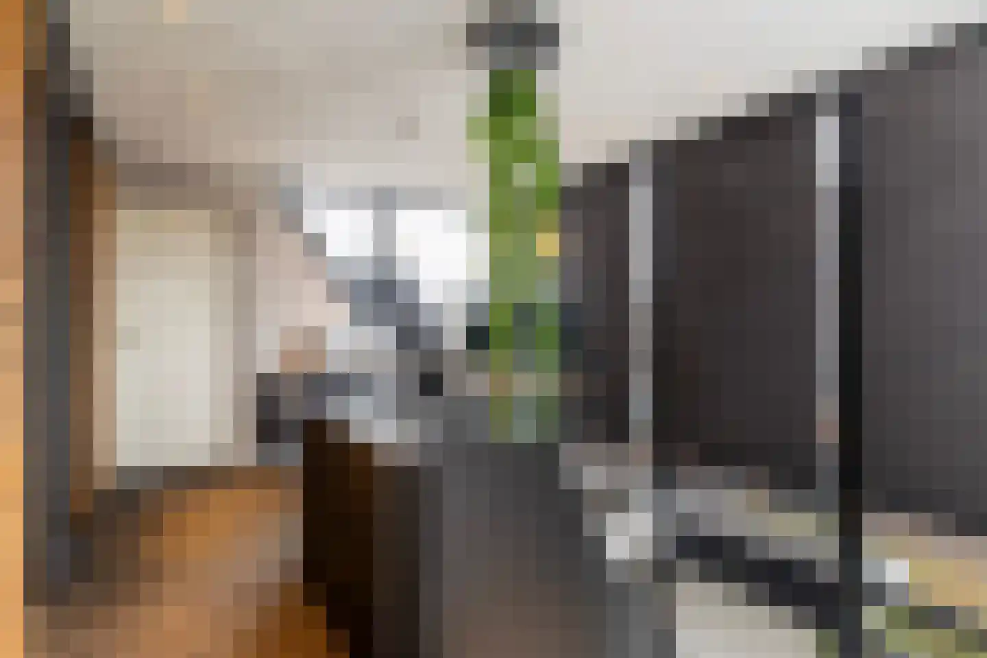 Goutumerdyk 6 Goutum thumbnail 23