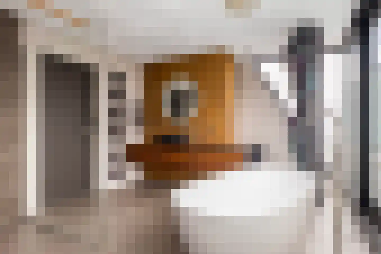 Goutumerdyk 6 Goutum thumbnail 31
